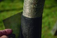 Сетка защитная для саженцев