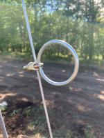 Кольцо оцинкованное для сетки 