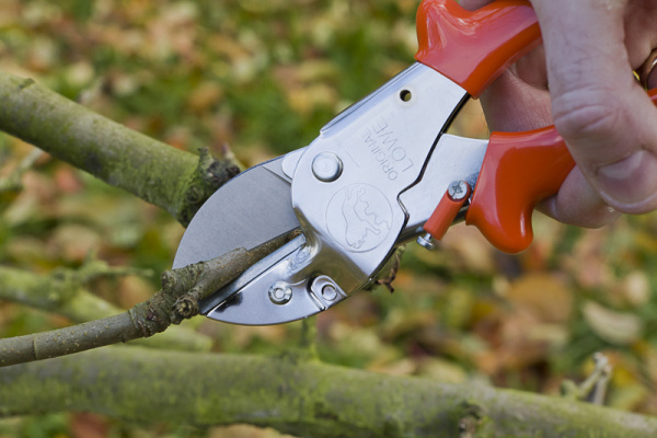 ART 1.107 Секатор LOWE с наковальней